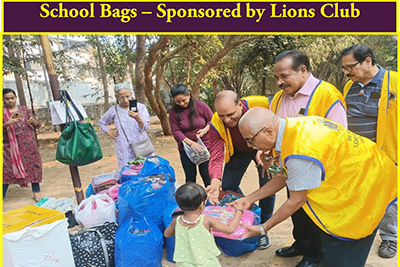 The Social Apostolate of the Society of St. Ursula