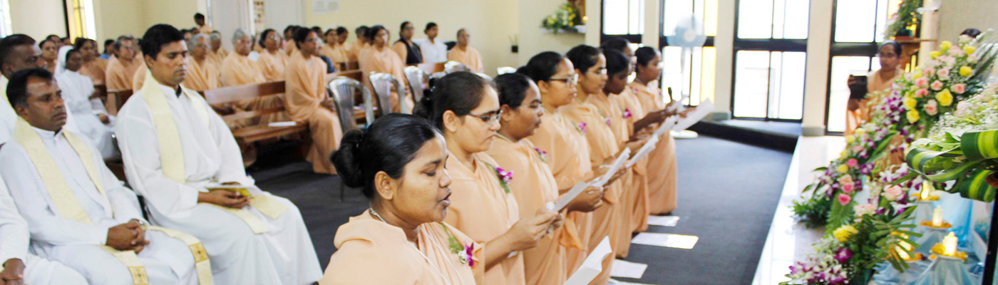Final Vows-2026